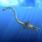 plesiosaurus plesiosaurus