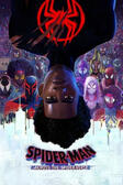 spider-man into the spider-verse spider-man into the spider-verse
