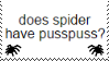 does spider have pusspuss does spider have pusspuss