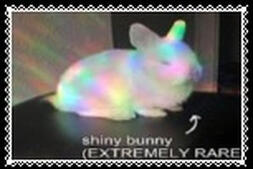 shiny bunny